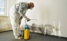 Mold Remediation for Vacation Homes in Hopelawn, NJ